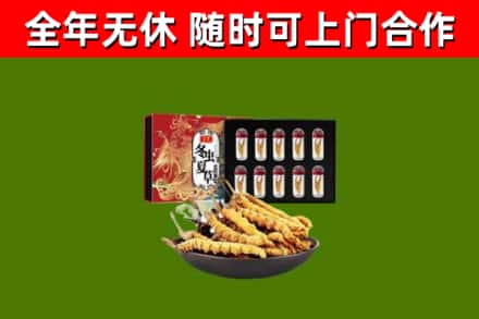 蓬溪县回收冬虫夏草价格